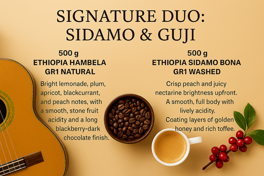 Signature Duo: Sidamo & Guji